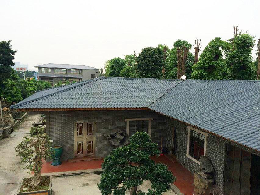 農(nóng)村自建房蓋合成樹脂瓦，美得不要不要的！