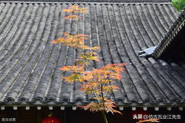 導(dǎo)讀：農(nóng)村蓋房用樹(shù)脂瓦適合嗎？聽(tīng)完行家的分析，恍然大悟