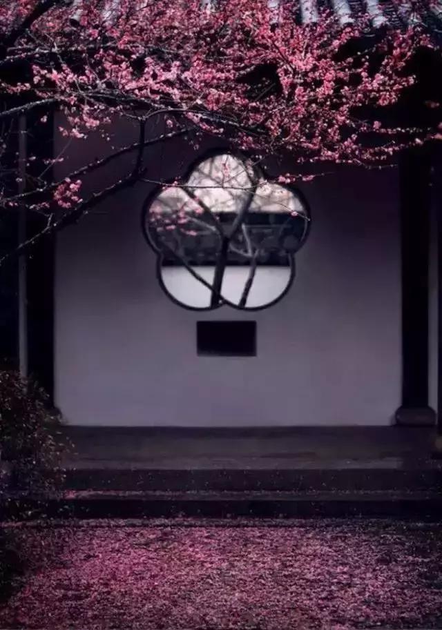 這樣的院子，只有中國人駕馭得了它！