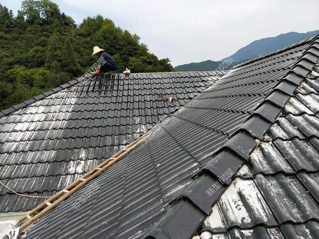 30元一平的樹脂瓦省錢又耐用？網(wǎng)友：吃飽沒事干，用一年就得換