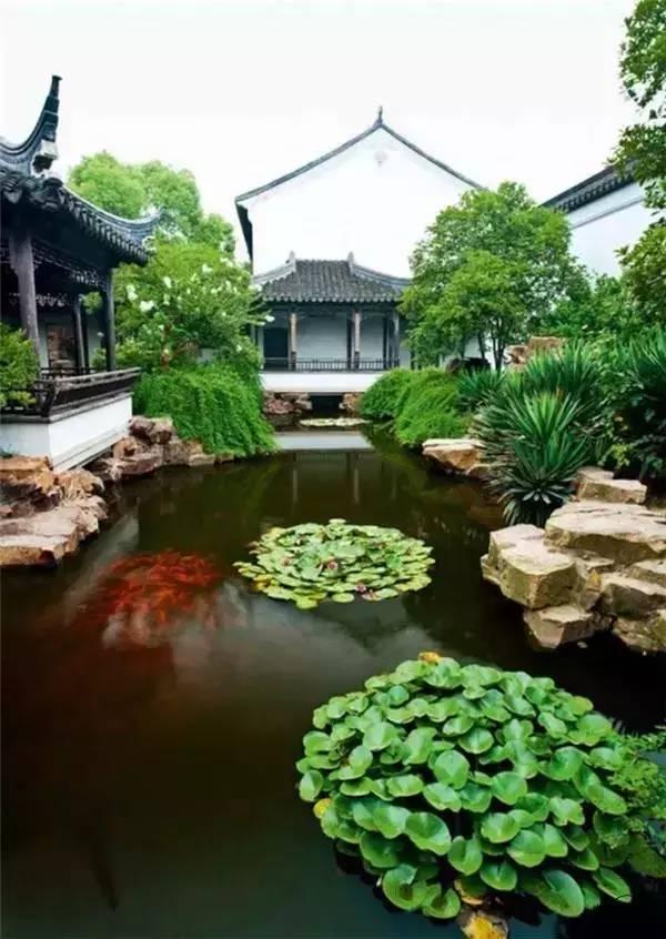 小院回廊，一步一景！